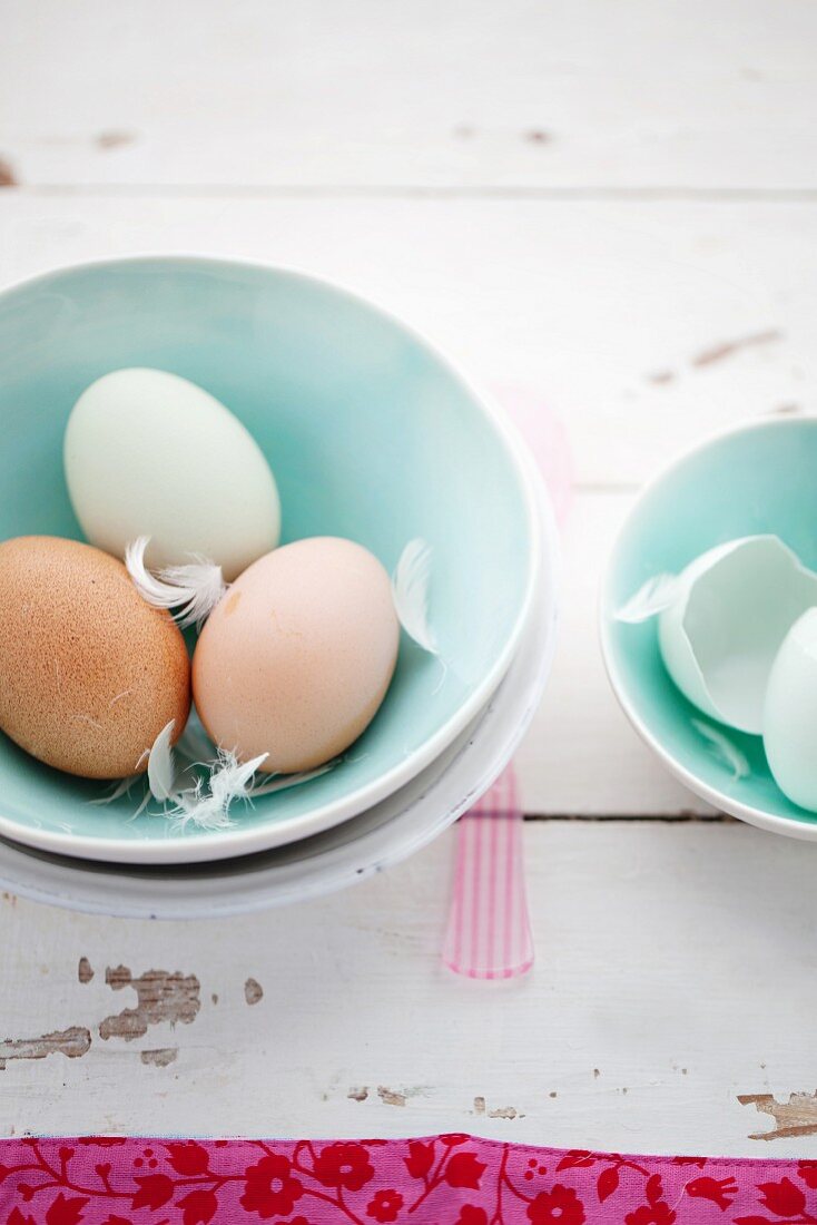 Fresh eggs with feathers