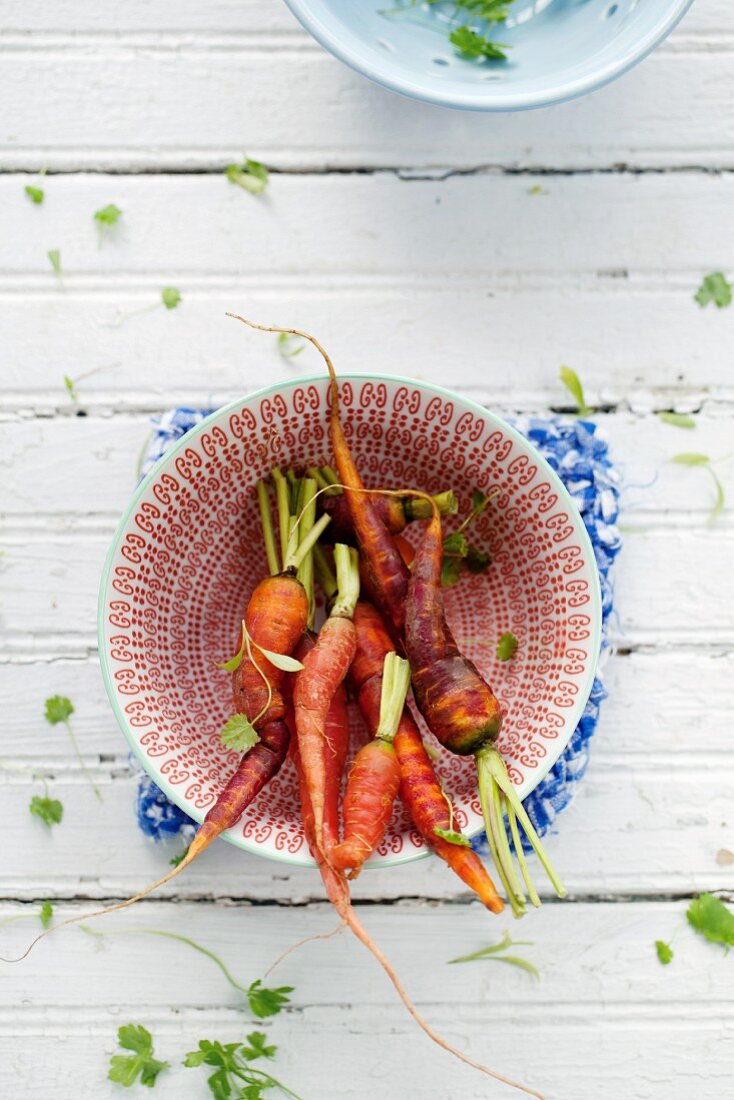 Various type of carrots in a bowl