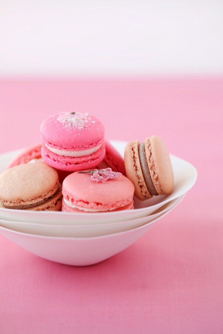 Macaroons with sugared cherry blossom