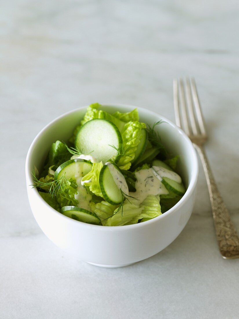 Kleine Schüssel mit Romanasalat, Gurken und Dill