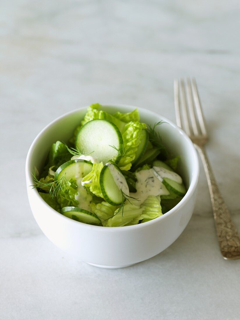Small Bowl of Green Salad made with Romaine Lettuce, Cucumbers and Dill; Fork