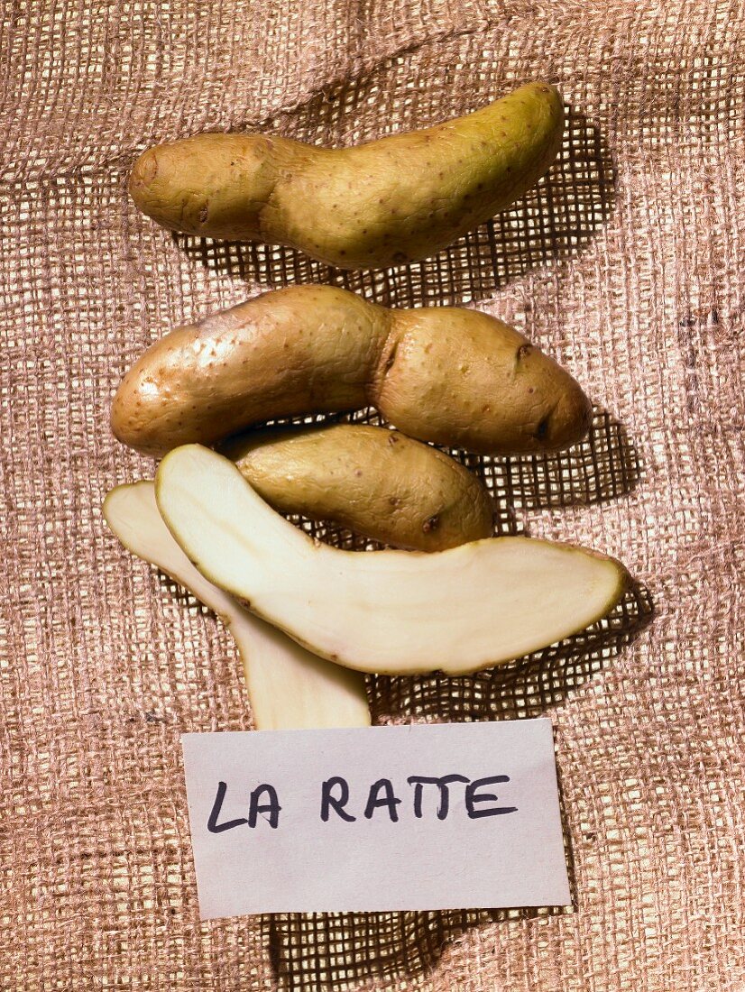 Kartoffeln der Sorte La Ratte