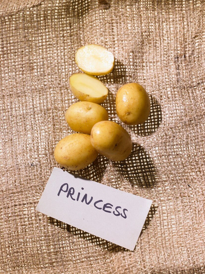 Kartoffeln der Sorte Princess