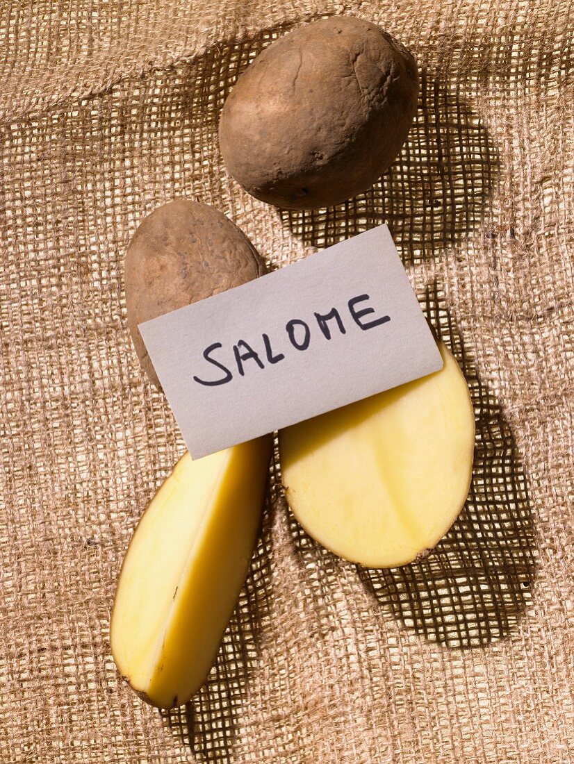 Kartoffeln der Sorte Salome