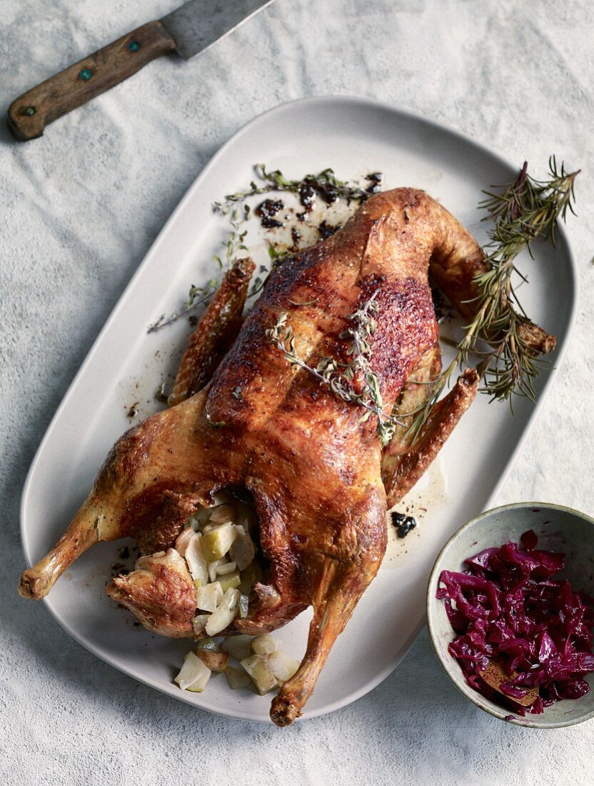 Stuffed country duck with red cabbage (seen from above)