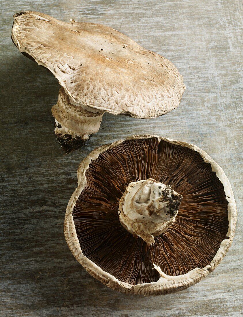 Two Portobello mushrooms