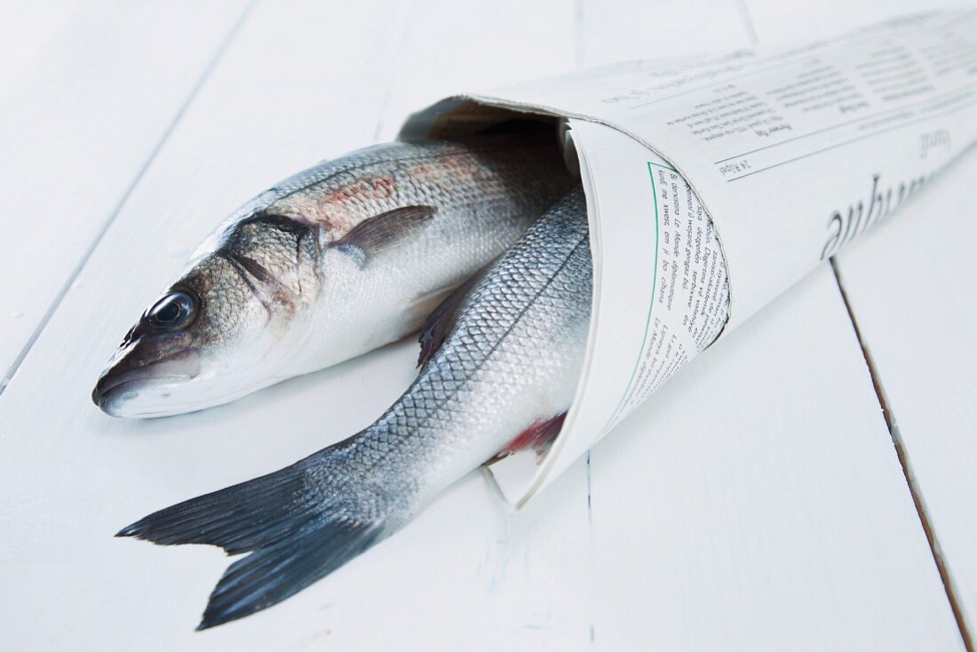 Two sea bass wrapped in newspaper