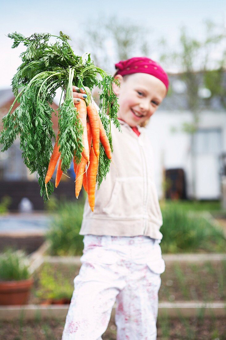 Girl on allotment with carrots