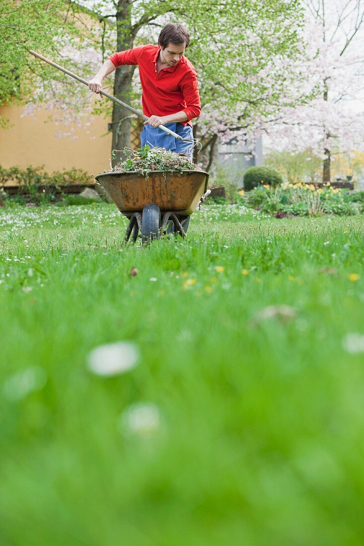 Mann arbeitet im Garten