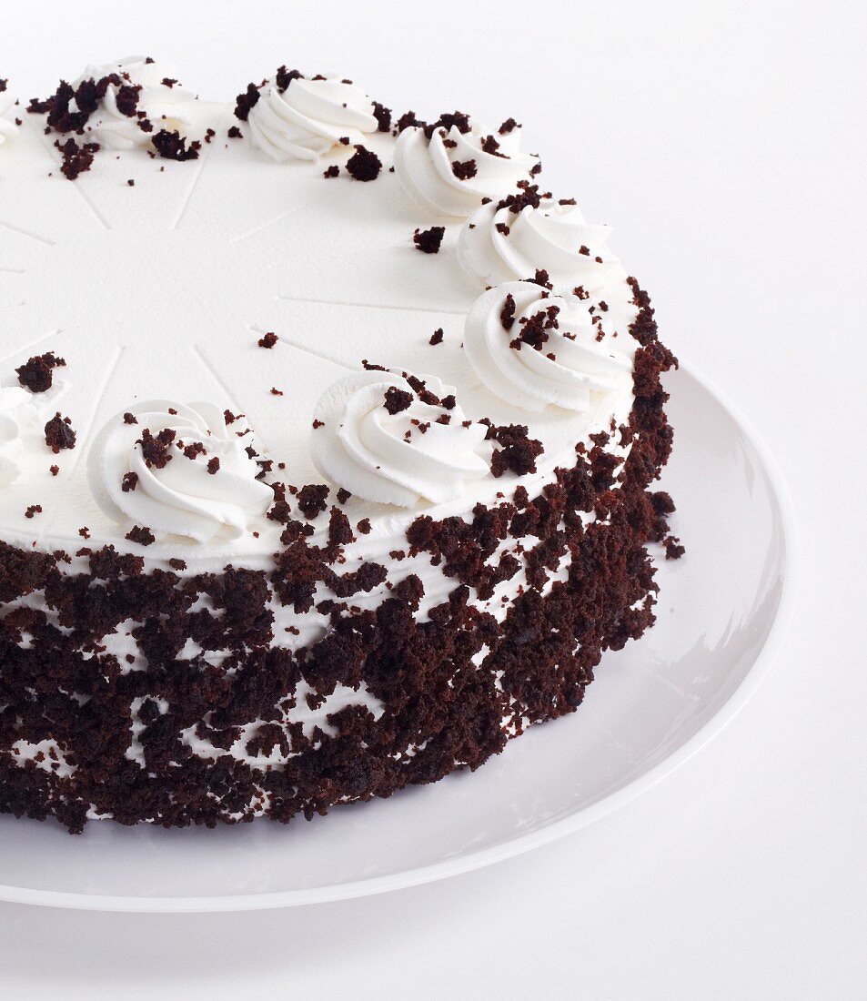 White Frosted Cake with Chocolate Crumbs