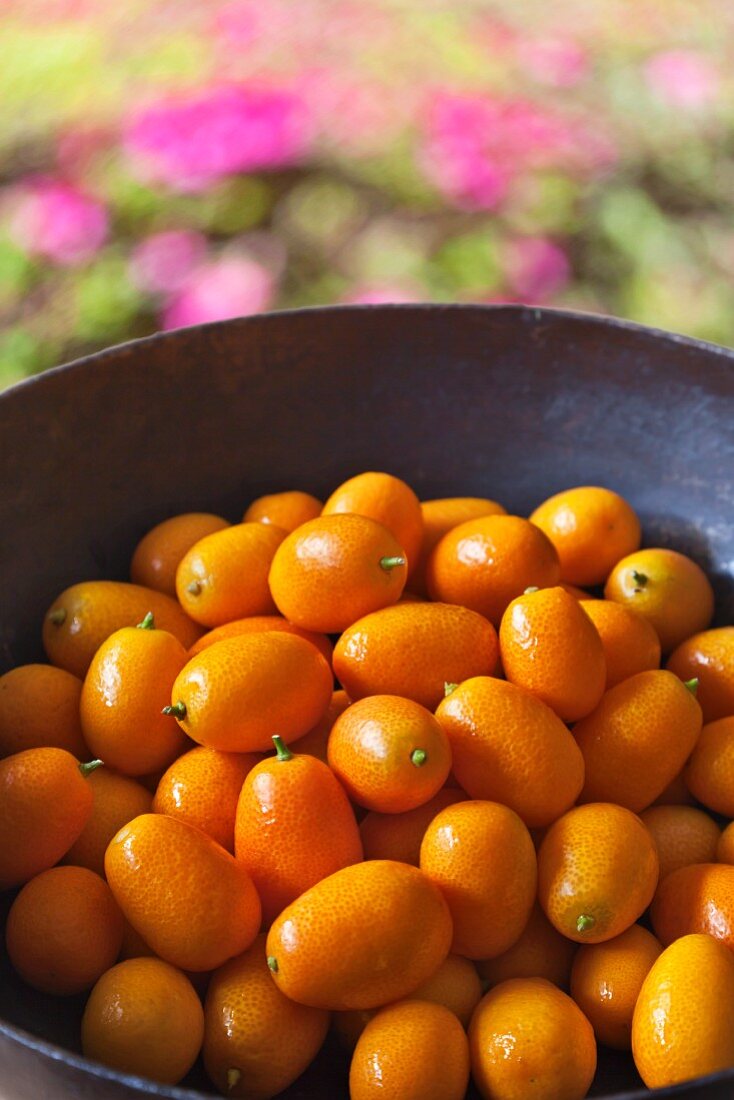 Frische Kumquats in einer Schale