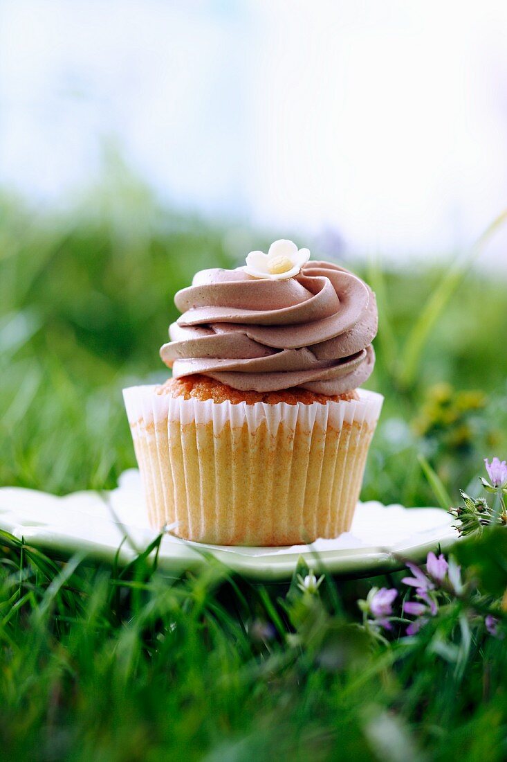 Frosted Cupcake on a Small Plate in the Grass