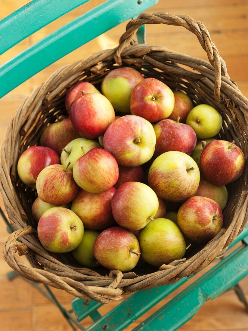 A Basket of Fresh Picked Apples
