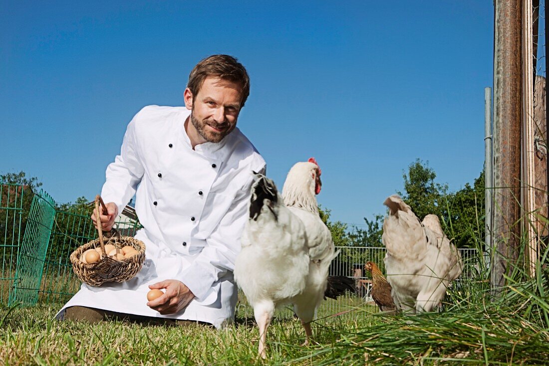 Chef feeding chickens outdoors