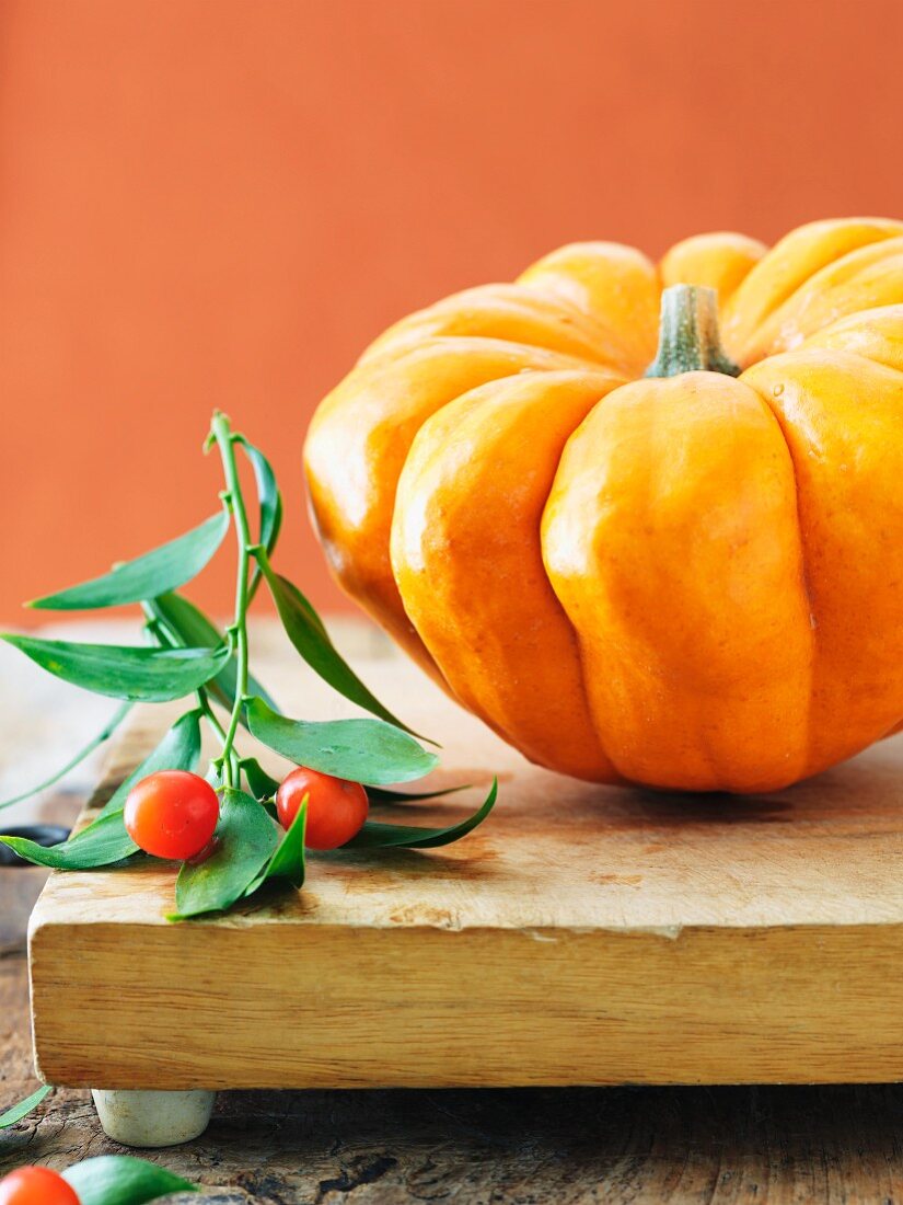 Orange Pumpkin with Berry Branch on a Board