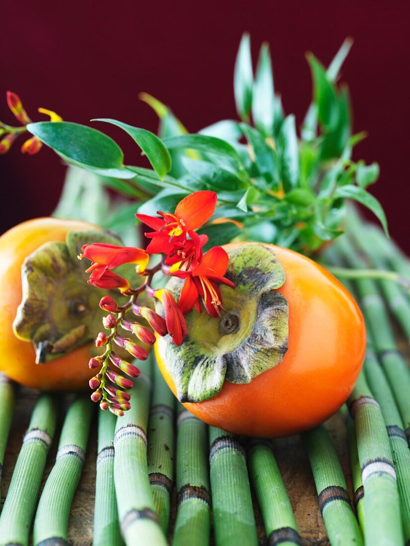 Persimmons with Tropical Flower and Bamboo
