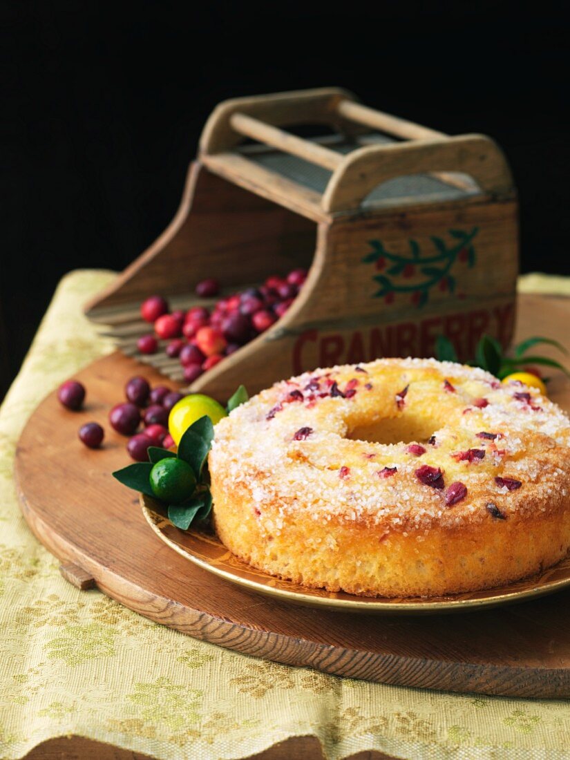 Cranberry Cake with Fresh Cranberries