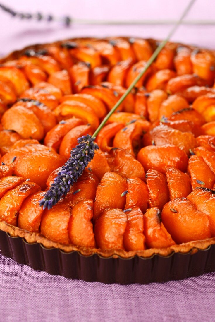 Apricot tart with lavender
