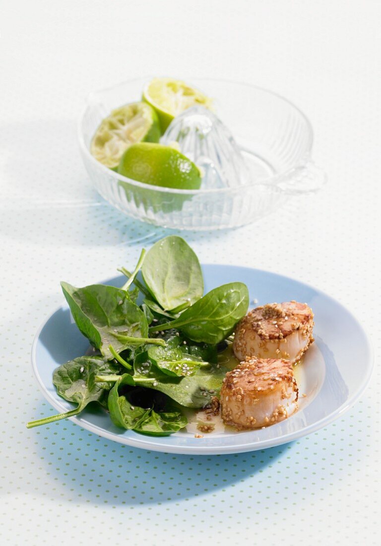 Scallops with spinach salad and sesame seeds