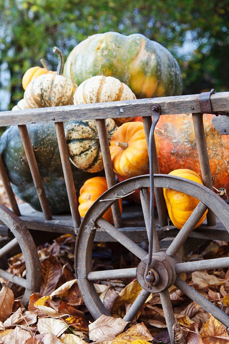 Handcart full of pumpkins