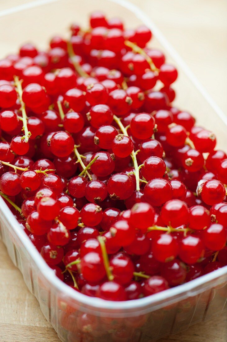 Redcurrants in plastic punnet