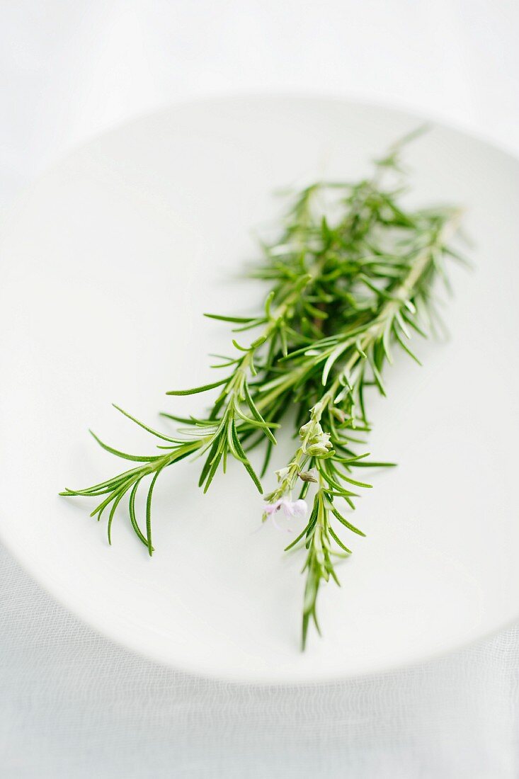 Fresh rosemary on a plate