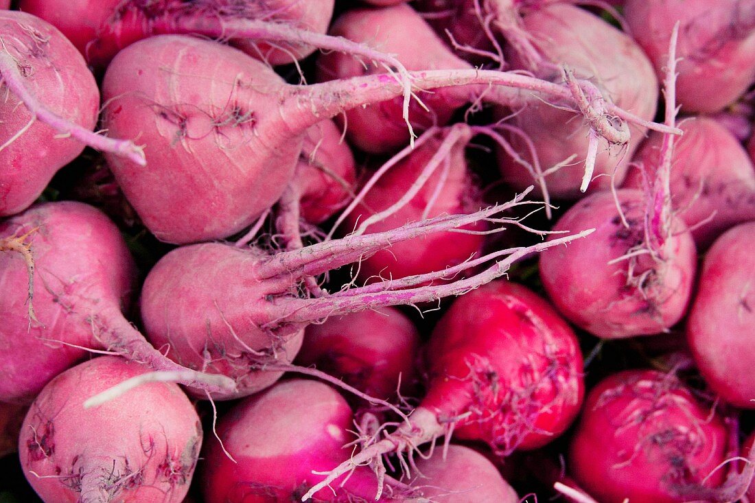 Fresh radishes