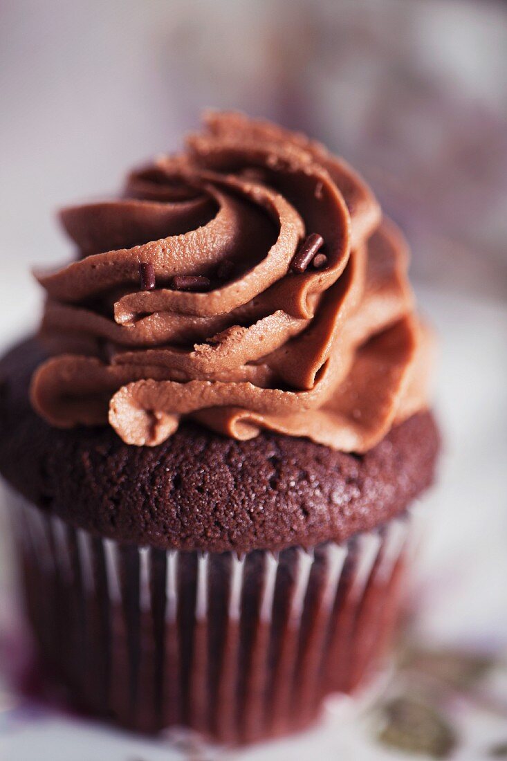 Chocolate cupcakes