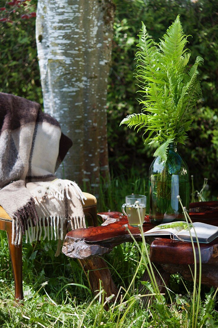 Fern on wooden table in garden