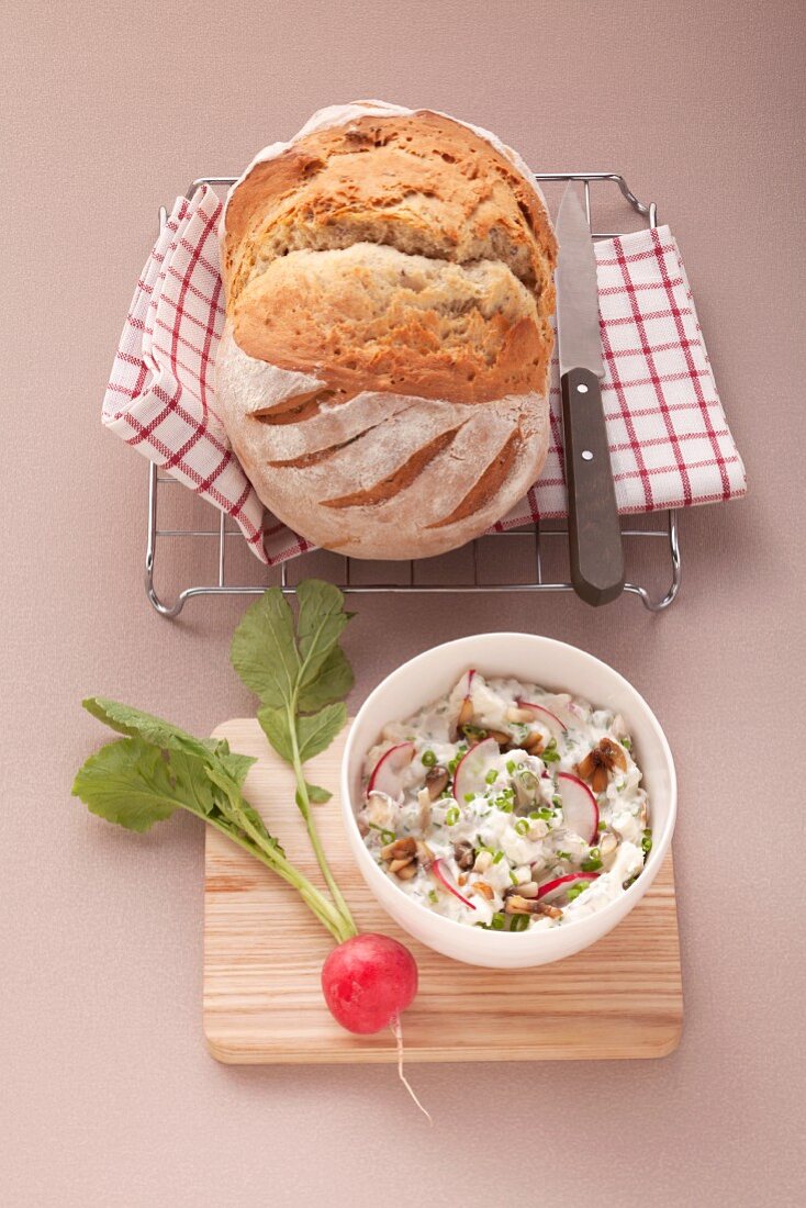 Homemade bread and cream cheese spread with radishes and mushrooms