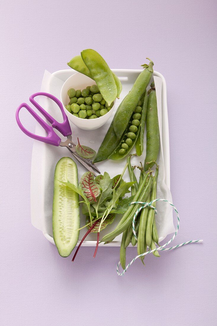 Fresh vegetables (peas, cucumber, beans and lettuce leaves)
