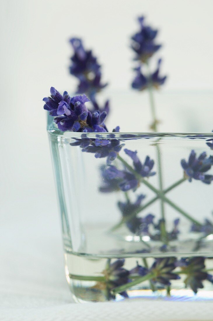 Lavendelblüten im Wasserglas