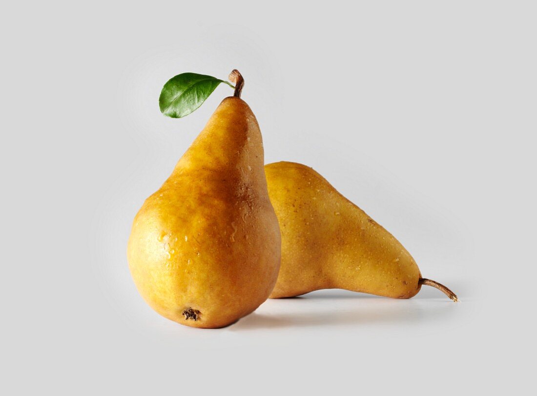 Two Bosc Pears on a White Background