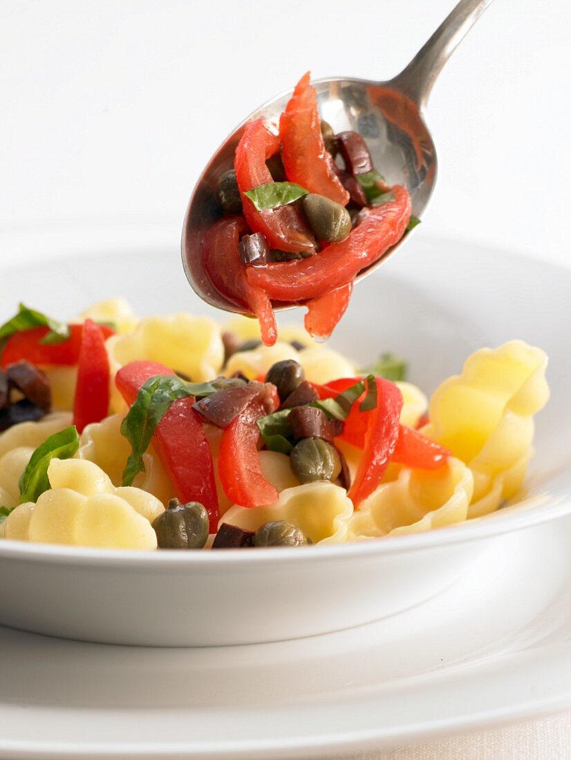 Shell pasta with raw tomatoes, olives and capers