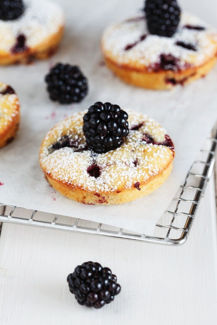 Gebackene Brombeer-Doughnuts