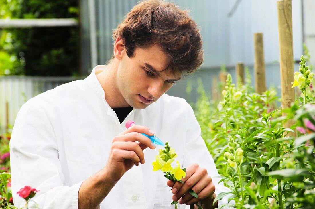 A young scientist examining flowers outside