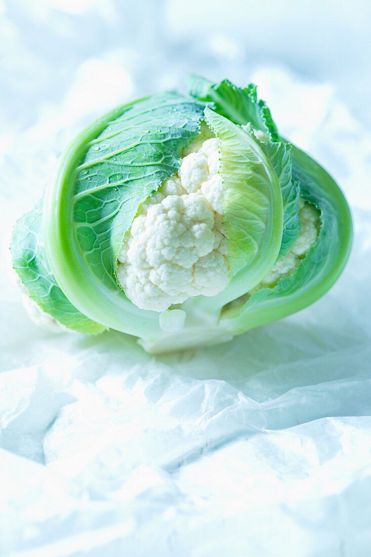 A mini cauliflower