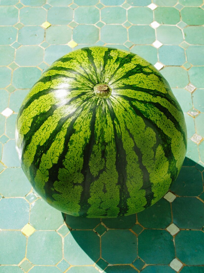 Eine ganze Wassermelone