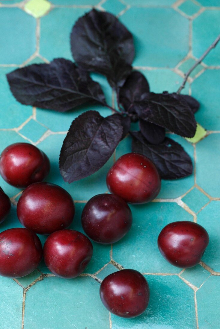 Plums with leaves