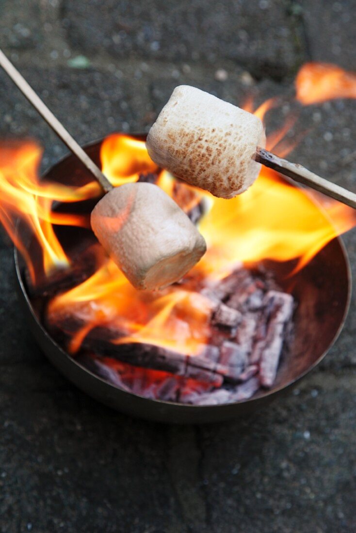 Marshmallows über Feuer grillen