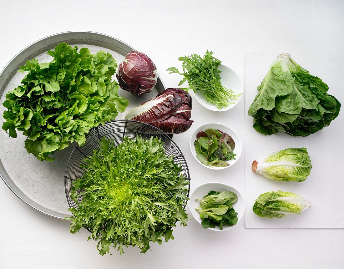 Various types on lettuce