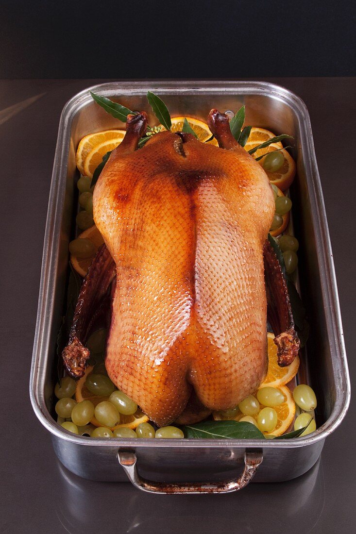 A goose in a roasting tin with grapes in oranges