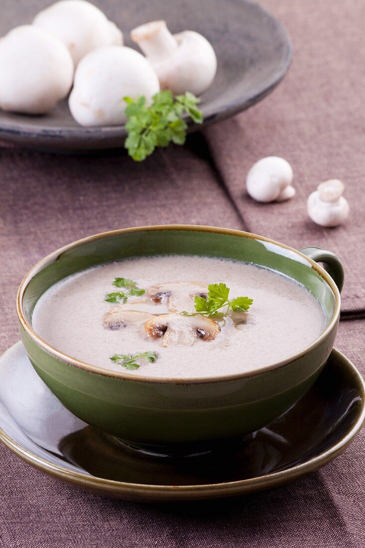 Creamed mushroom soup