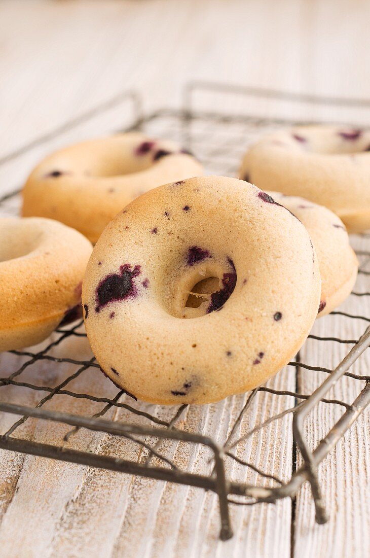 Blueberry doughnuts on a wire rack