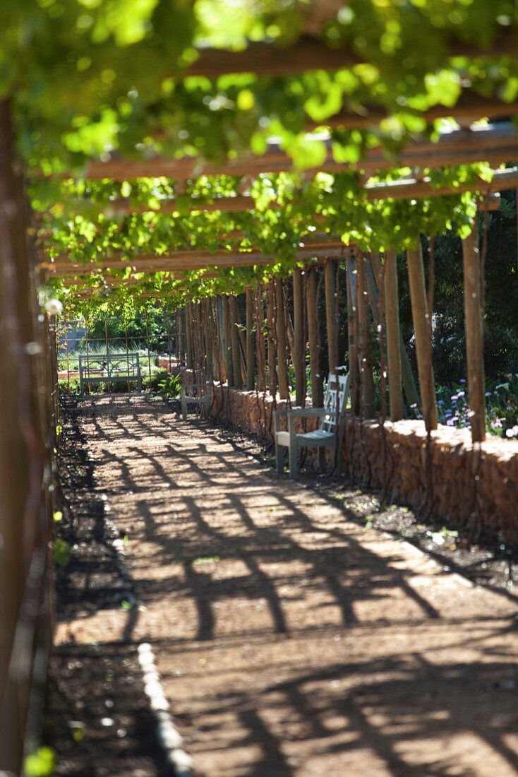 Garden in Drakenstein Valley, South Africa