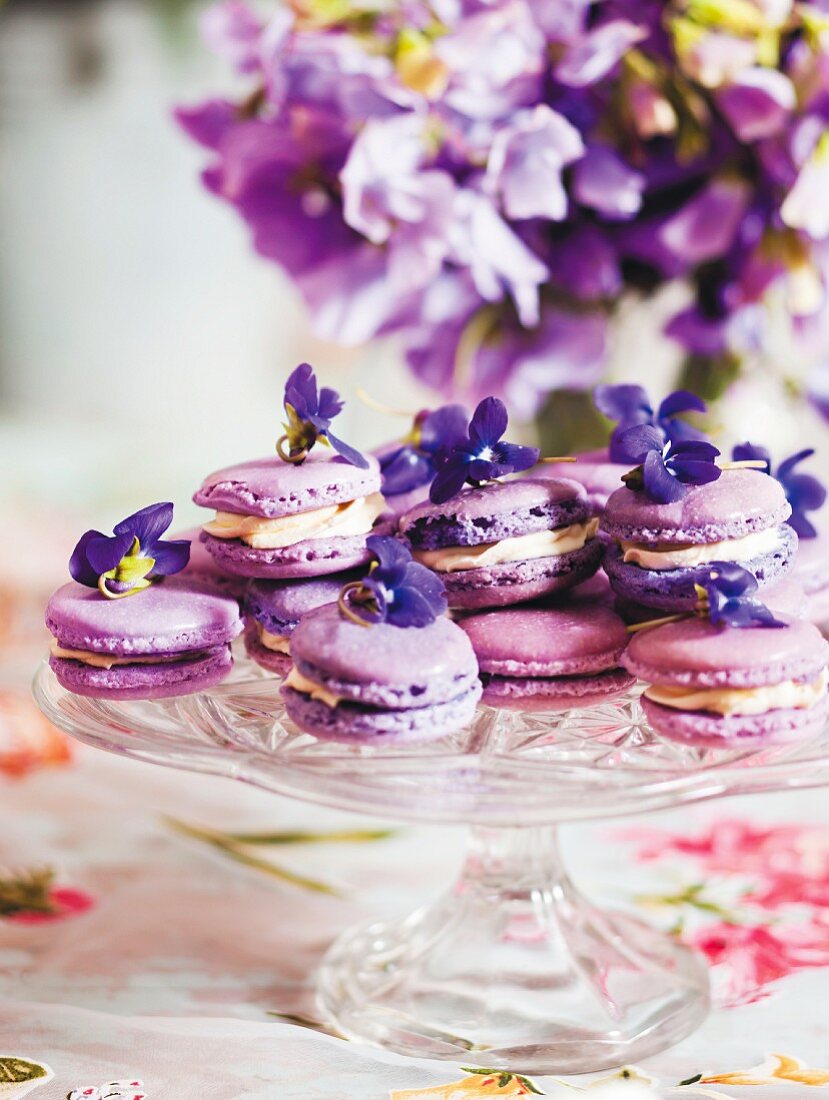Macaroons with violet flowers