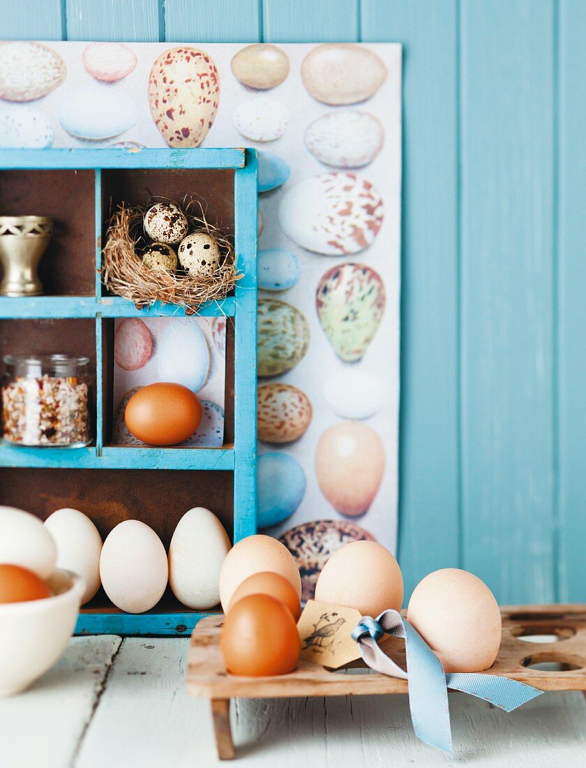 Verschiedene Eier in einem Holzgestell und Wandregal