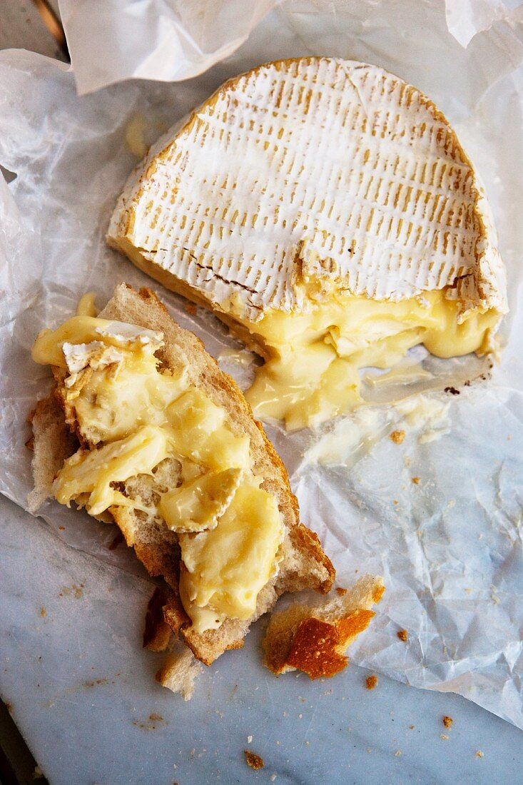 Reifer Coulommiers (Weichkäse, Frankreich), angeschnitten & auf Brot