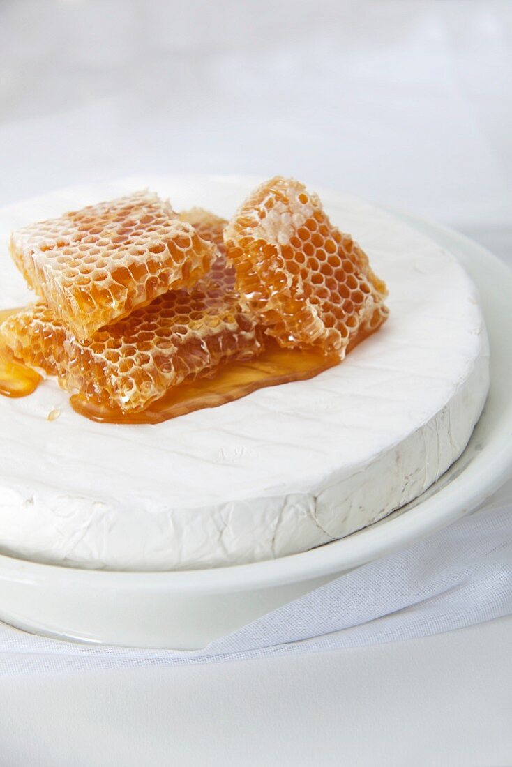 Several honeycombs on a wheel of Brie