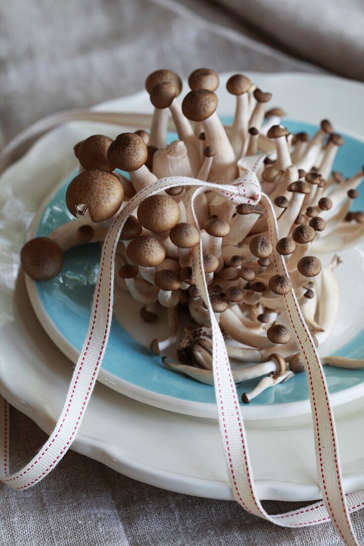 Frische braune Shimeji-Pilze auf Teller